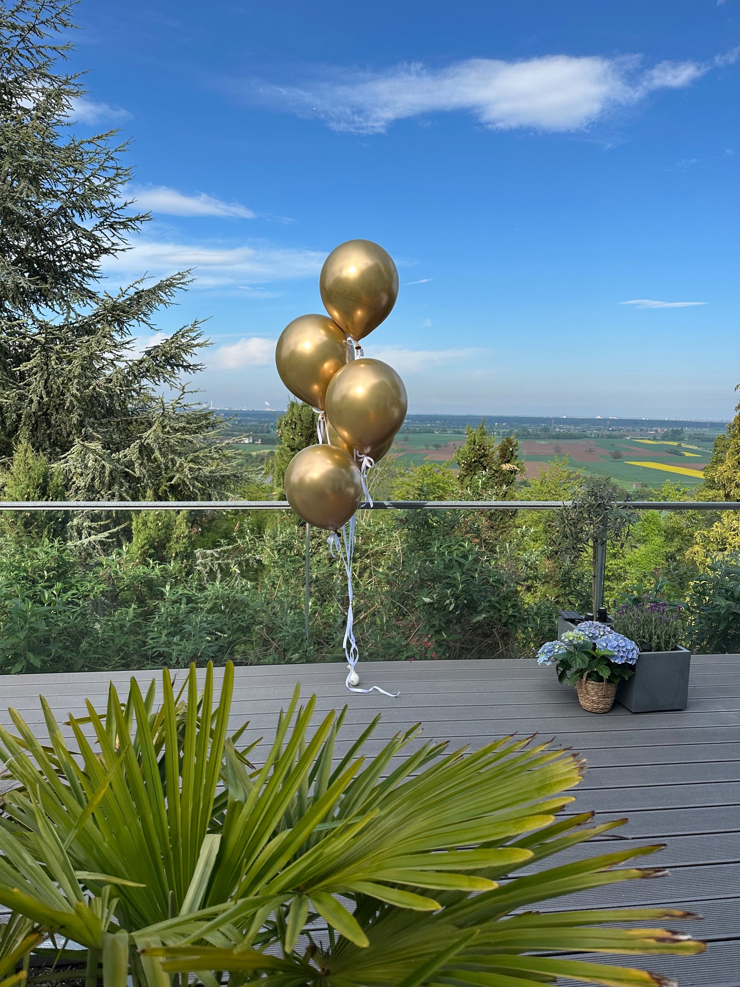 XL Latexballon Bouquet - Elegance in the Air