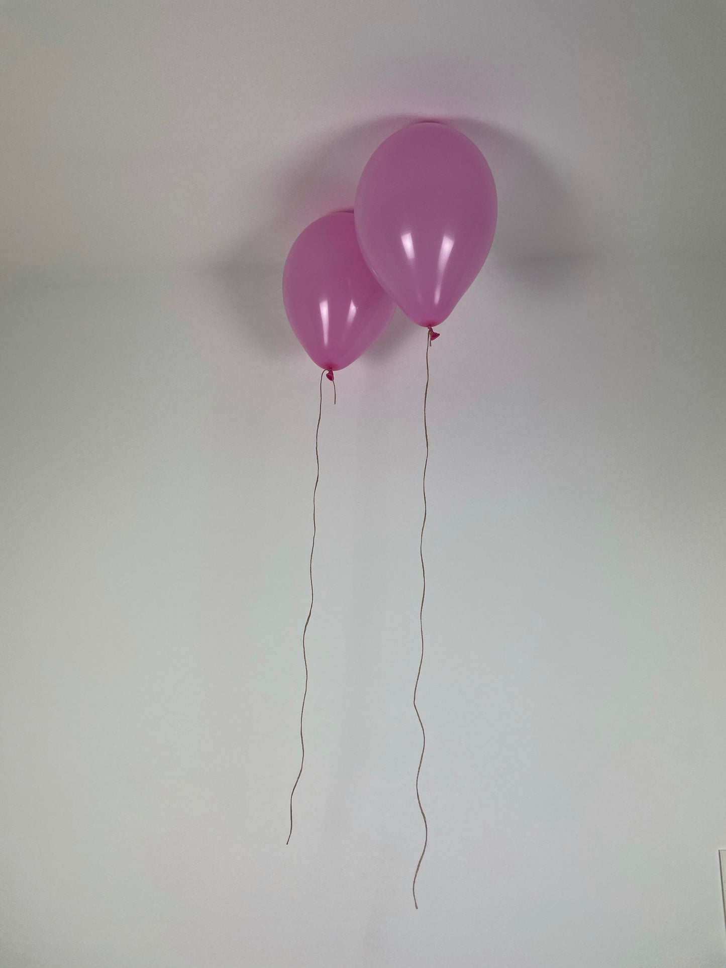 Helium Latex Ballon - Biologisch abbaubar