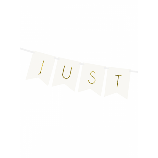 Just Married Wimpel Girlande