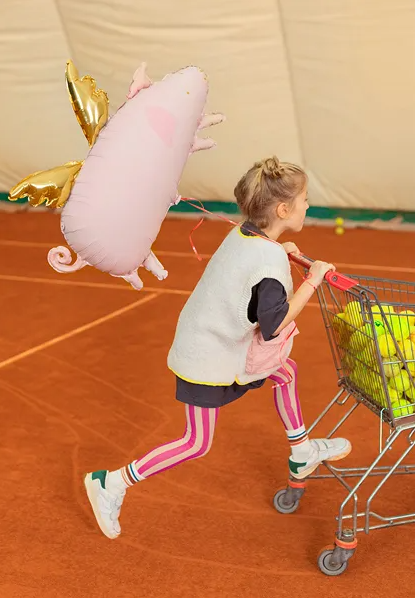 Schwein mit Flügeln