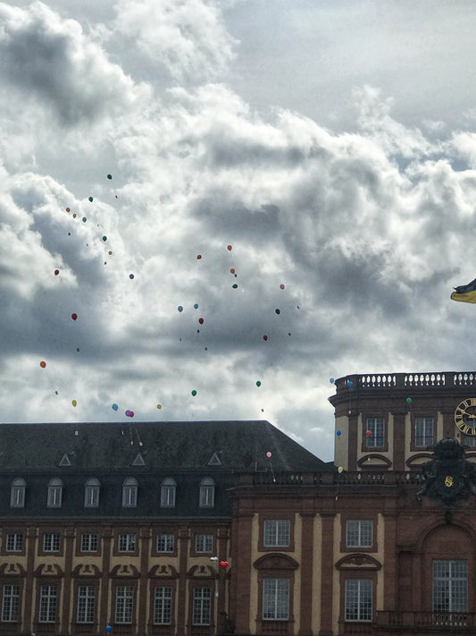 LGBT Flugaktion